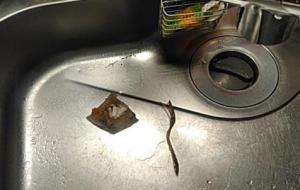 ディスポーザーにスプーンが入って取れなくなった！