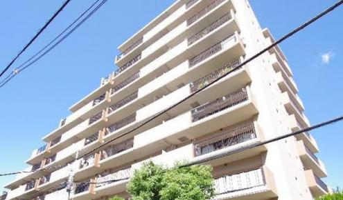 ザウィンベル本蓮沼