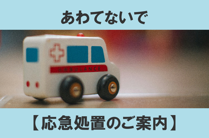 突然のディスポーザー故障でも慌てない！水漏れ・警告音・漏電時の応急処置ガイド