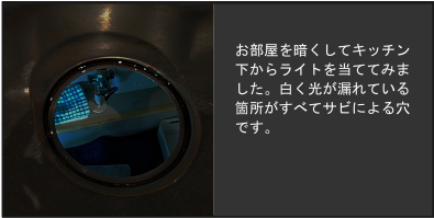 ディスポーザーを取り外したからライトを当ててみると排水口にいくつもの穴が見られる
