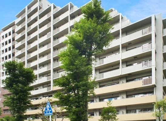 ジェネシティ