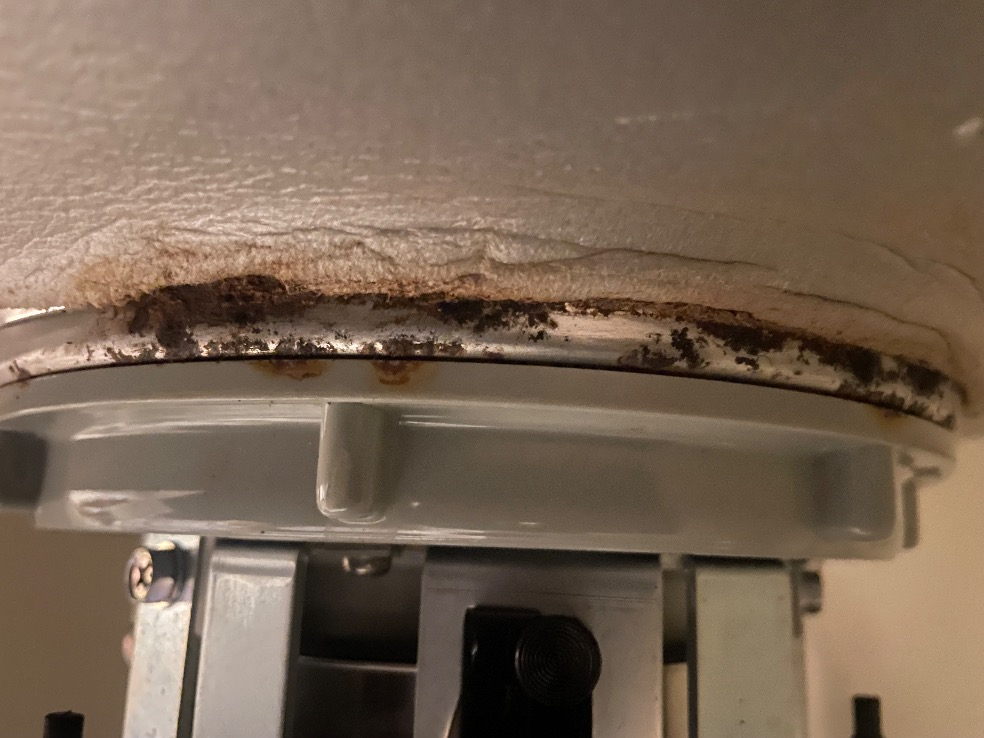 サビの拡大写真